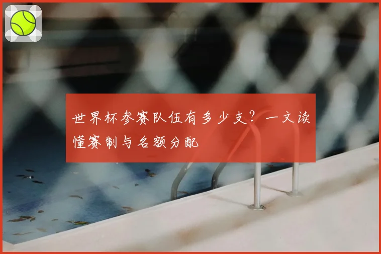 世界杯参赛队伍有多少支？一文读懂赛制与名额分配